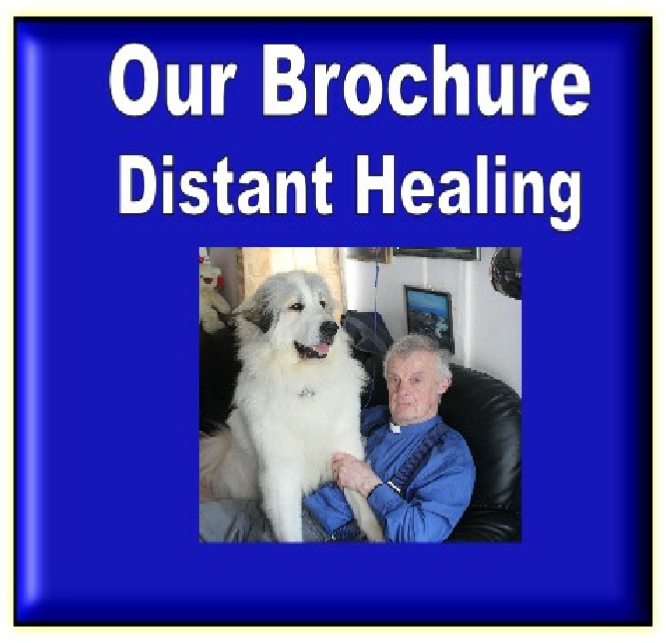 2019 CHARITY DISTANT HEALING BROUCHURE.pdf