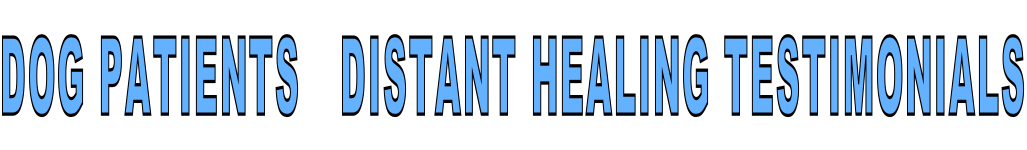 DOG PATIENTS   DISTANT HEALING TESTIMONIALS