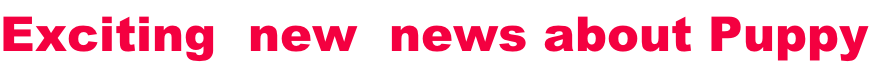 Exciting  new  news about Puppy